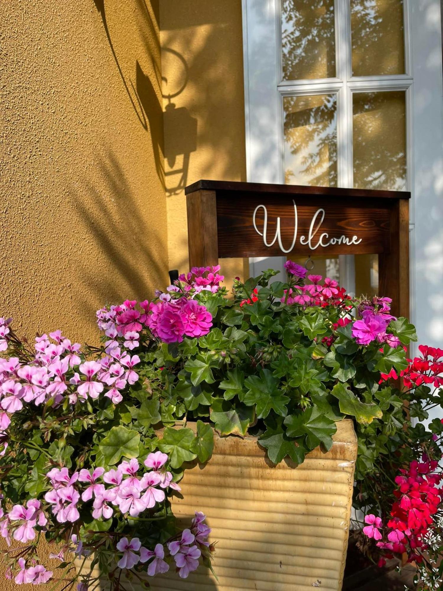 Bich Dao Boutique - Dalat Hotel Luaran gambar