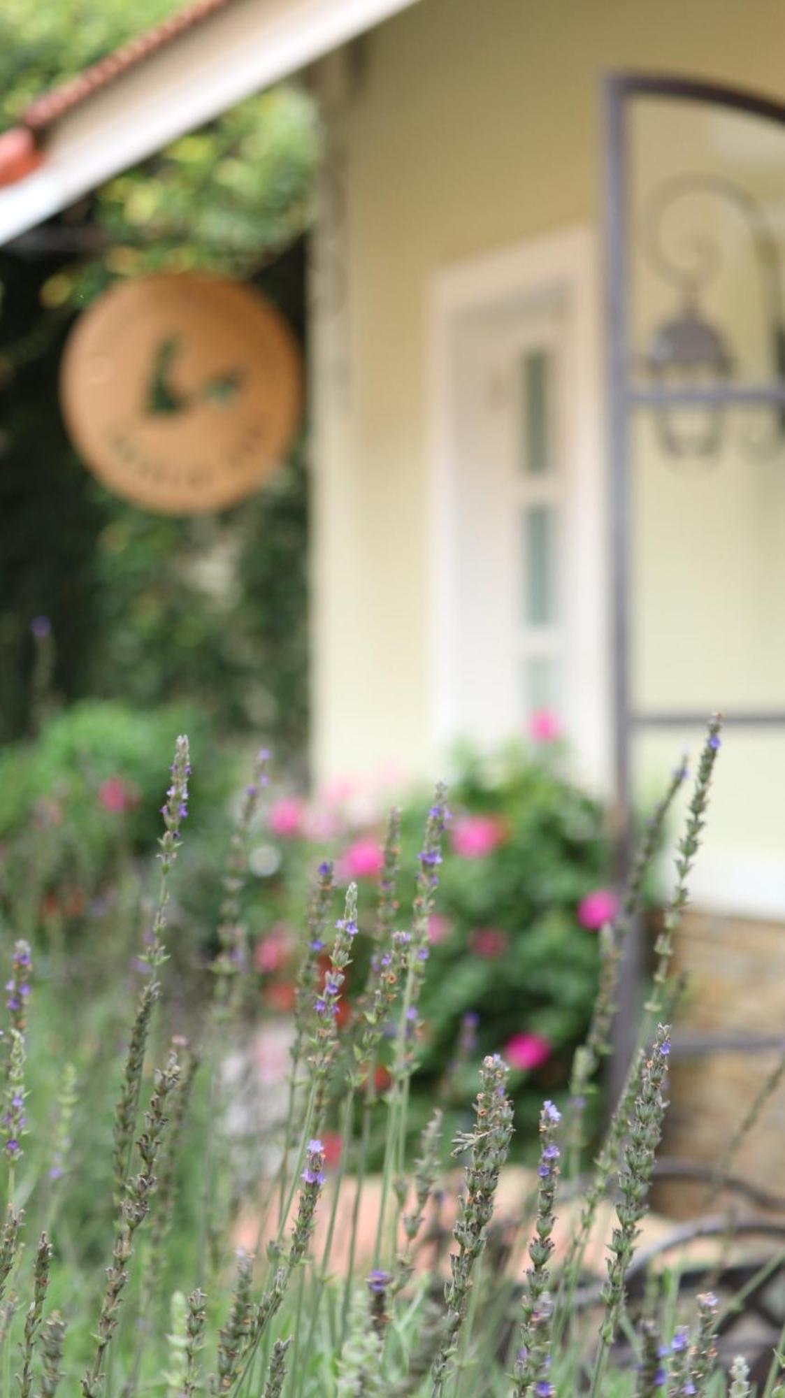 Bich Dao Boutique - Dalat Hotel Luaran gambar