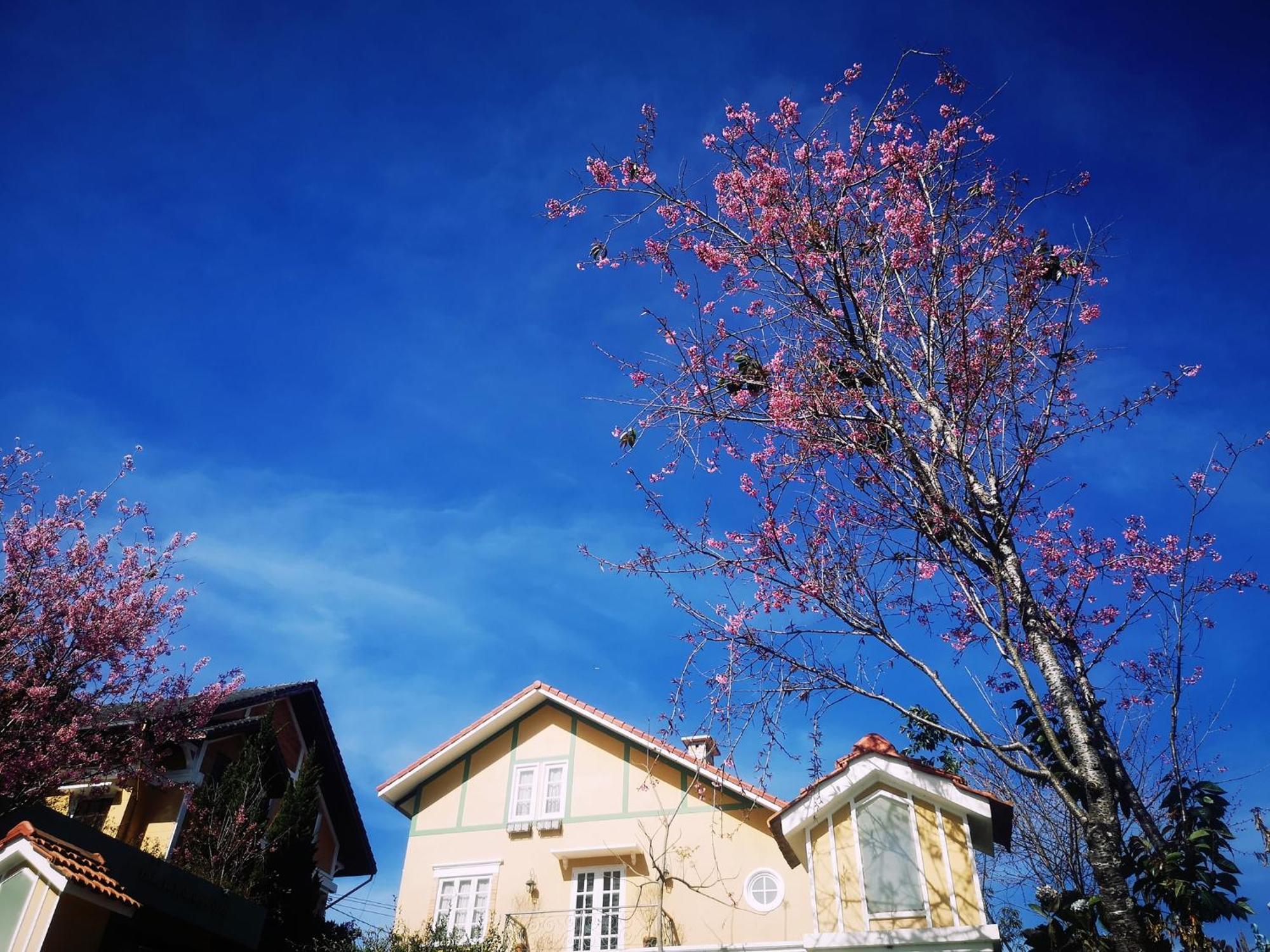 Bich Dao Boutique - Dalat Hotel Luaran gambar