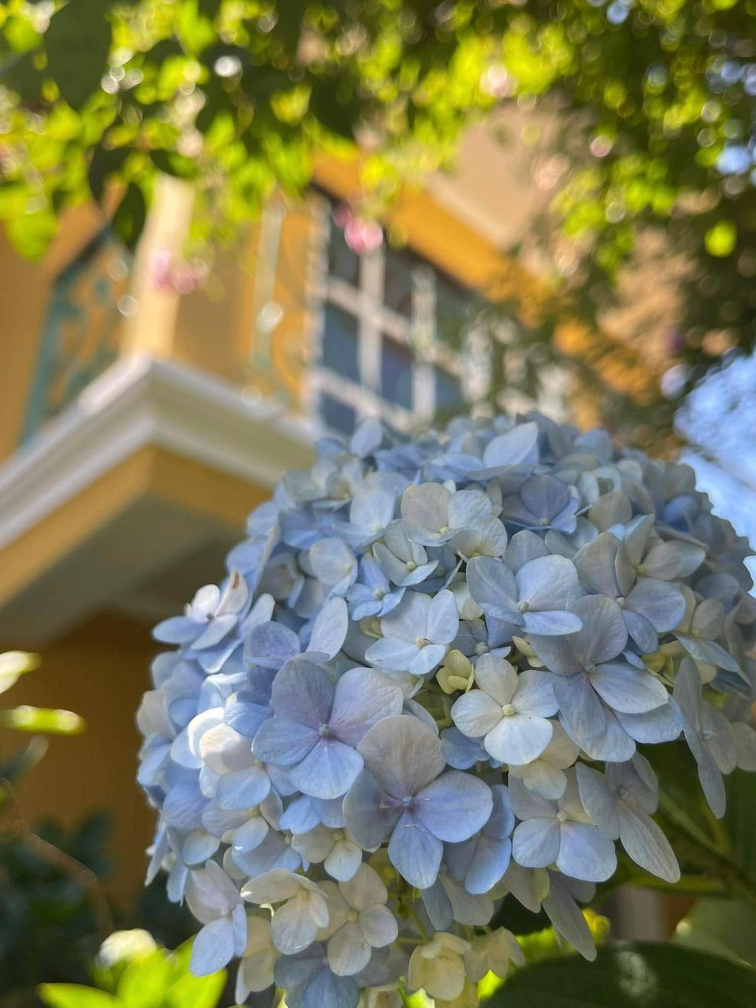 Bich Dao Boutique - Dalat Hotel Luaran gambar